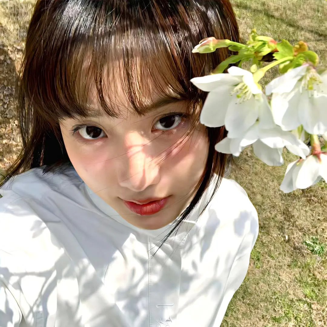 画春功之书中自有颜如玉
